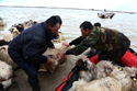 Two weeks after the floods, still “much need” in Albania
