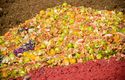 EU wastes about 22 million tonnes of food a year