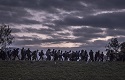 10 common myths concerning refugees
