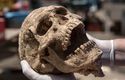 First-ever Philistine cemetery unearthed
