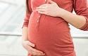 600 abortions practised every day in France