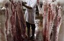 Belgian Walloon region bans kosher and halal slaughter