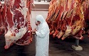 Flanders bans halal and kosher animal slaughter methods
