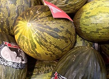 The melons of Egypt