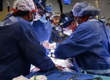Christian doctors see no ethical conflict in heart transplant from genetically modified pig