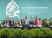 World Evangelical Alliance supports UN agreement to protect biodiversity