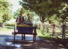 Does being Amish work?