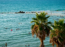 What Mediterranean evangelicals concerned about climate change bring to the table
