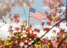 Letter to America