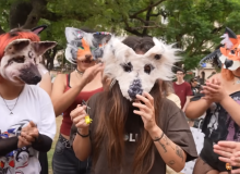‘Therians’ and the West’s disorientation