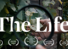 ‘The Life’: The gospel in five minutes, without words