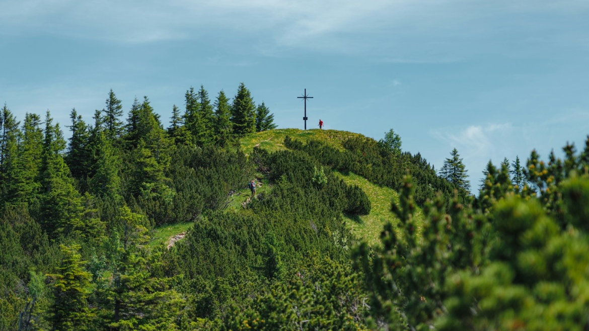 Our response to the Passion of Jesus Christ