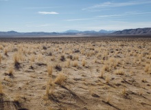 Wilderness temptations in ministry