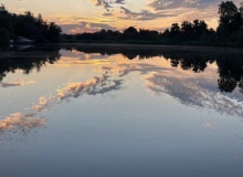Water, our rare cosmic delicacy