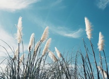 Air, life’s invisible gift