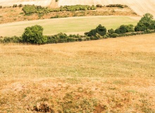 We need rain. On parched soils and souls