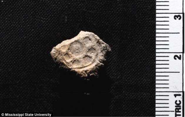Official clay seals (most well-preserved example pictured) may finally prove that there was a ruler, or at least government activity, in the region during the 9th and 10th century BC,clay seals David Salomon Israel
