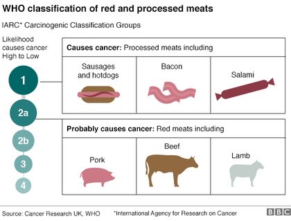 What is proccesed meat? / BBC