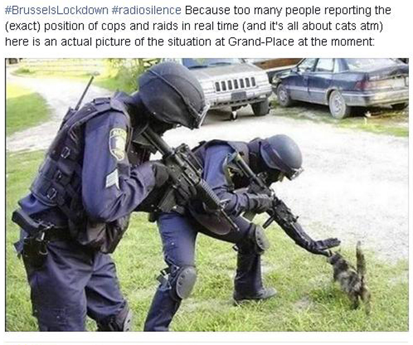 A post from a facebook user last night after the Belgian police asked for discretion on the police operations. Social media users answered with pictures of cats. / Facebook,cats, brussels, lockdown, belgium