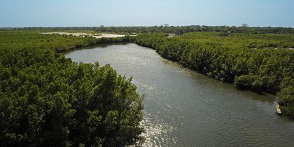 Gambia river.