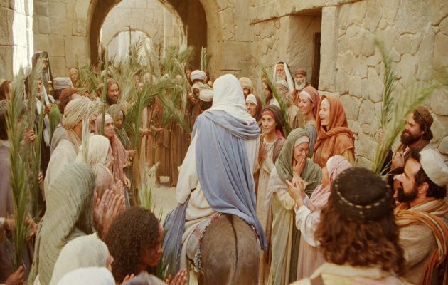 Jesus entered in Jerusalem on a donkey,