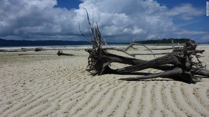 In the past 20 years, sea levels in the Solomon Islands have risen up to 10 milimeters annually.