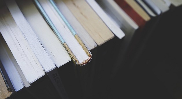 Theological education in Europe has been studied by Steve Patty. Photo: Drew Coffman (Unsplash),books, library, quality