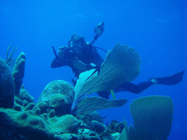 Biologist Antonio Cruz, taking pictures of corales. / Photo: Aarón Ávila.,
