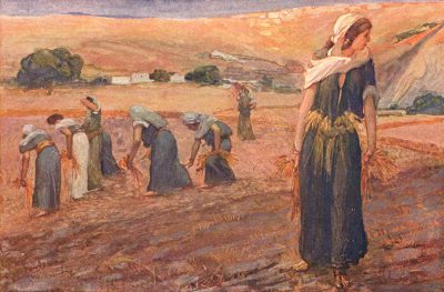 ‘Ruth Gleaning’, James Tissot 1896.