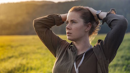 Amy Adams is a linguist whose aim is to decipher an unknown language.
