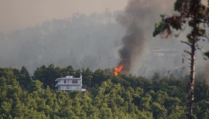 A picture of the fire taken from the Kalamos camp as the the flames approached the site. / Kalamos