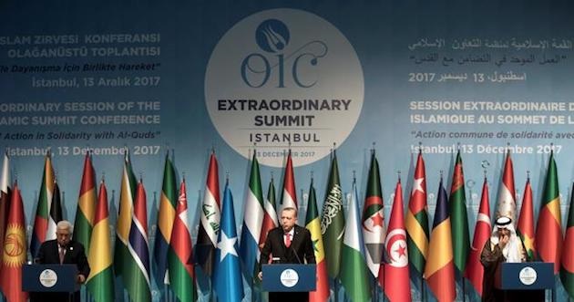 Turkish President Erdogan speaks at the OIC summit in Istanbul. / OIC,