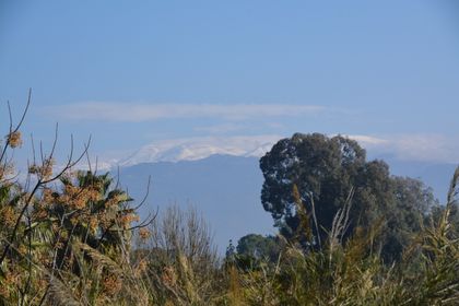 Snow on the Mount Hermon, seen from the north of Galilee. / Photo: Antonio Cruz