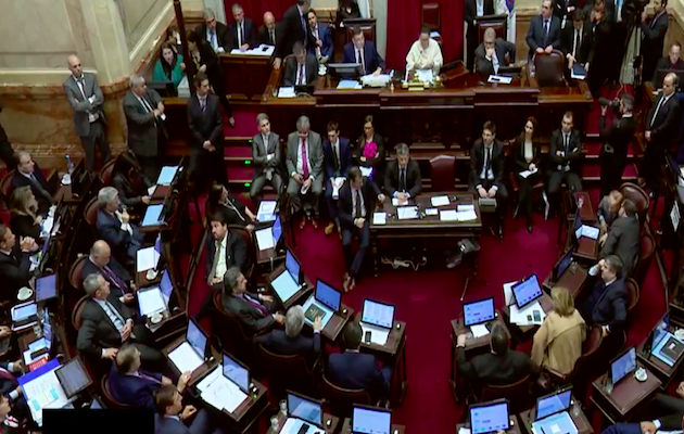 The Senators during the voting. / Youtube Senado Argentina,