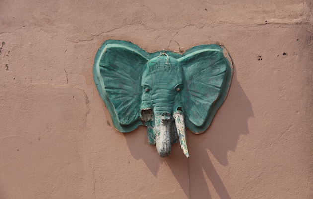 Amask of an elephant in the wall of a house where shamanism is practised.. / Jonatán Soriano.,