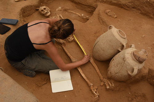 Excavation in Ashkelon, a Philistine city. / Leon Levy Project,