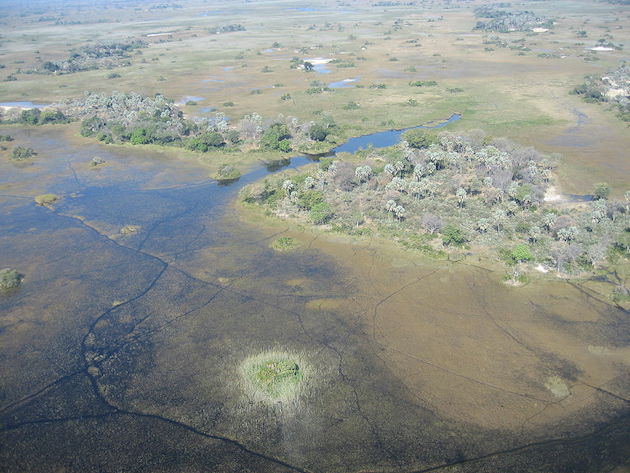 Aerial image of the Delta of the Okavango river, in northeast  Botswana. / Wikimedia Commons, CC,