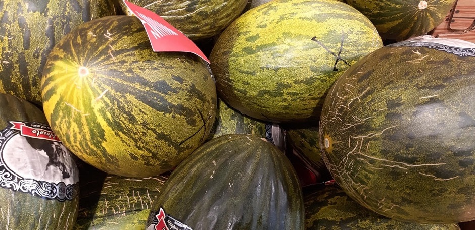 Melons. / Photo: Antonio Cruz,
