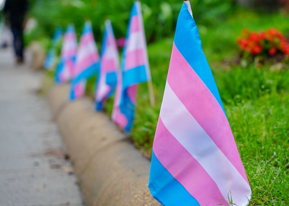 Trans flag. / Ted Eytan flickr.,