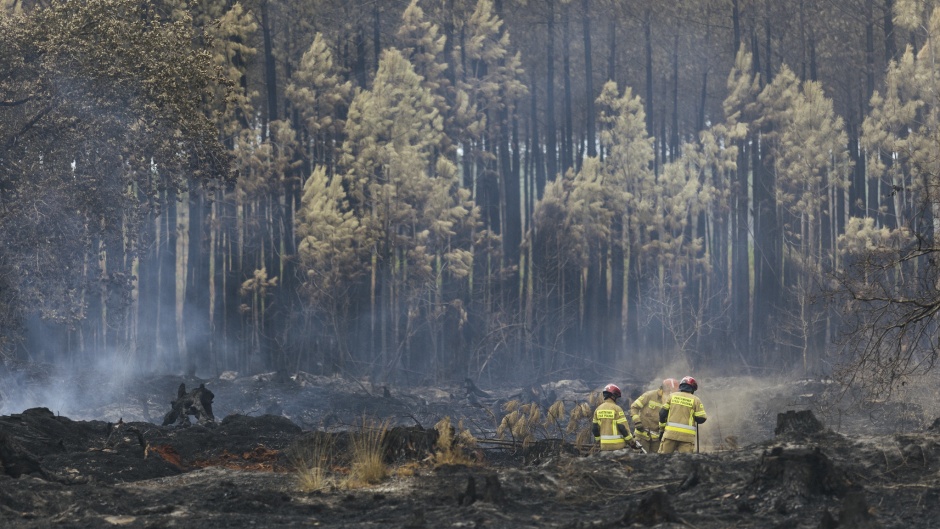 Firefighters in France working in a forest, summer 2022. / Photo: <a target="_blank" href="https://flickr.com/photos/eu_echo/">EU Civil Protection Humanitarian Aid</a>, Flickr, CC,