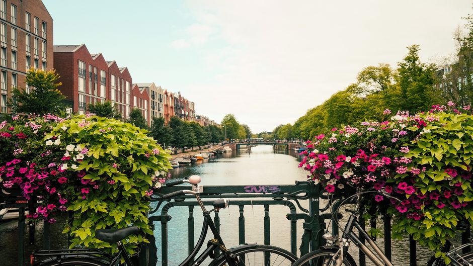 A view to an Amsterdam canal.  / Photo: <a target="_blank" href="https://unsplash.com/@mattdavey">Matt Davey</a>, Unsplash, CC0,
