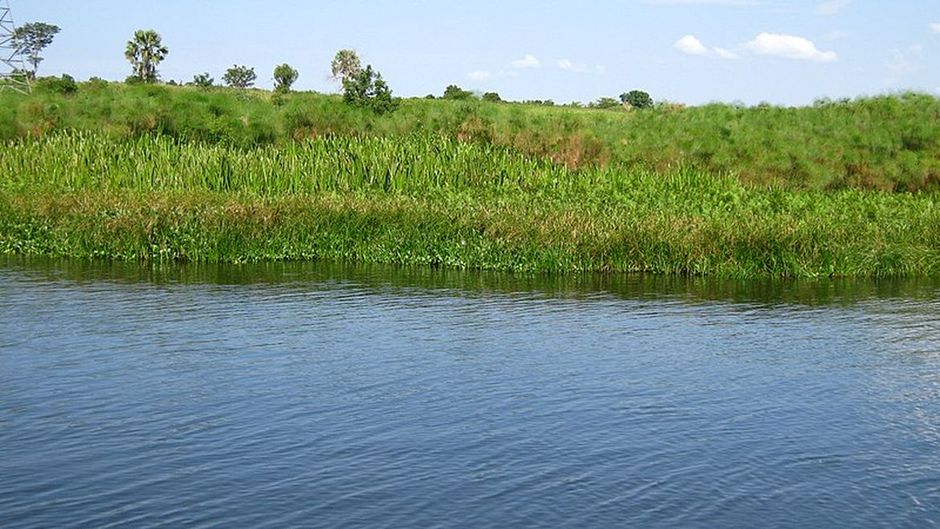 Lake Kyoga, Uganda. / <a target="_blank" href="https://commons.wikimedia.org/wiki/File:Lake_Kyoga-7.jpg">Subhashish Panigrahi</a>, Wikimedia Commons.,
