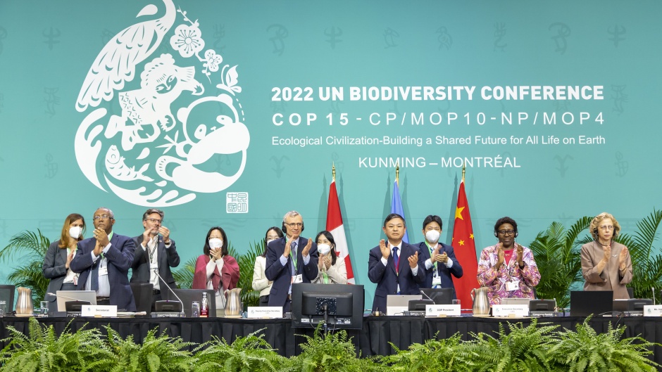 Participants of the UN Biodiversity Conference after the approval of the  Global Biodiversity Framework. / <a target="_blank" href="https://www.cbd.int/">CBD</a> ,