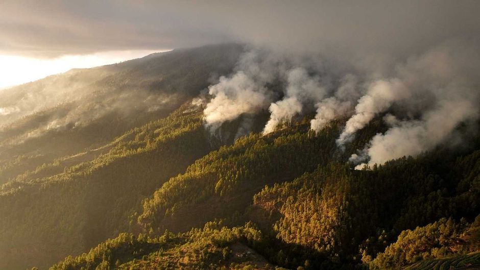 It is estimated that around 3,500 hectares of he Spanish island of La Palma were affected by the fire. / <a target="_blank" href="https://www.rtve.es/">rtve</a>,