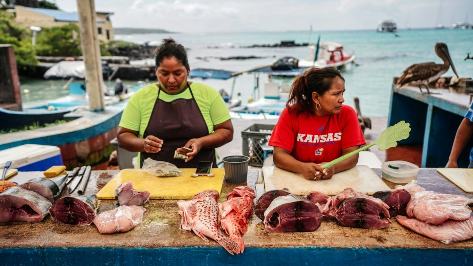 A fishing business in Ecuador. / Photo: <a target="_blank" href="https://unsplash.com/@kiyoshi_jpg">Kiyoshi</a>, Unsplash, CC0.,