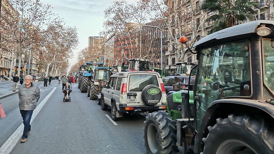 Tractors driving along one of the most famous streets of Barcelona. / <a target="_blank" href="https://commons.wikimedia.org/wiki/File:Protesta_pagesa_a_Barcelona_2024-02-07_4.jpg"> Cataleirxs</a>, Wikimedia commons.,