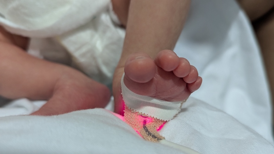 Baby Olivia, born eight days ago / Courtesy of the owner.,