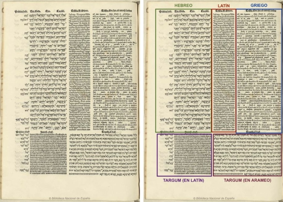 The ‘Complutense Polyglot Bible’: a Spanish Catholic work that paved the way for Protestants