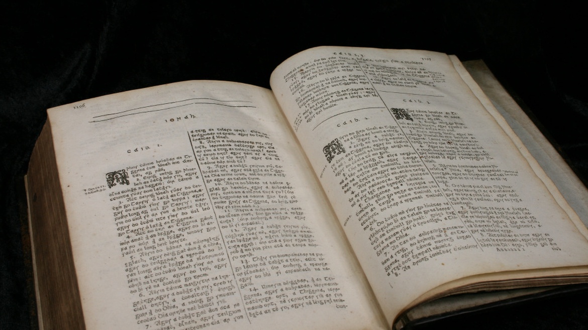 Irish Bible. / <a target="_blank" href="https://www.insightoftheking.com/">Insight of the King</a>,